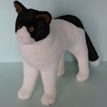 ぬいぐるみネコ